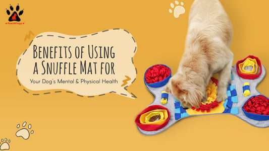 Benefits of Using a Snuffle Mat for Your Dog's Mental and Physical Health