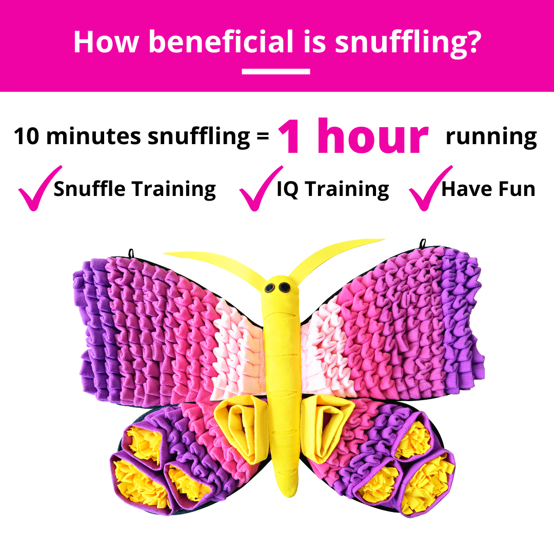 Radiant Butterfly™ Snuffle Mat