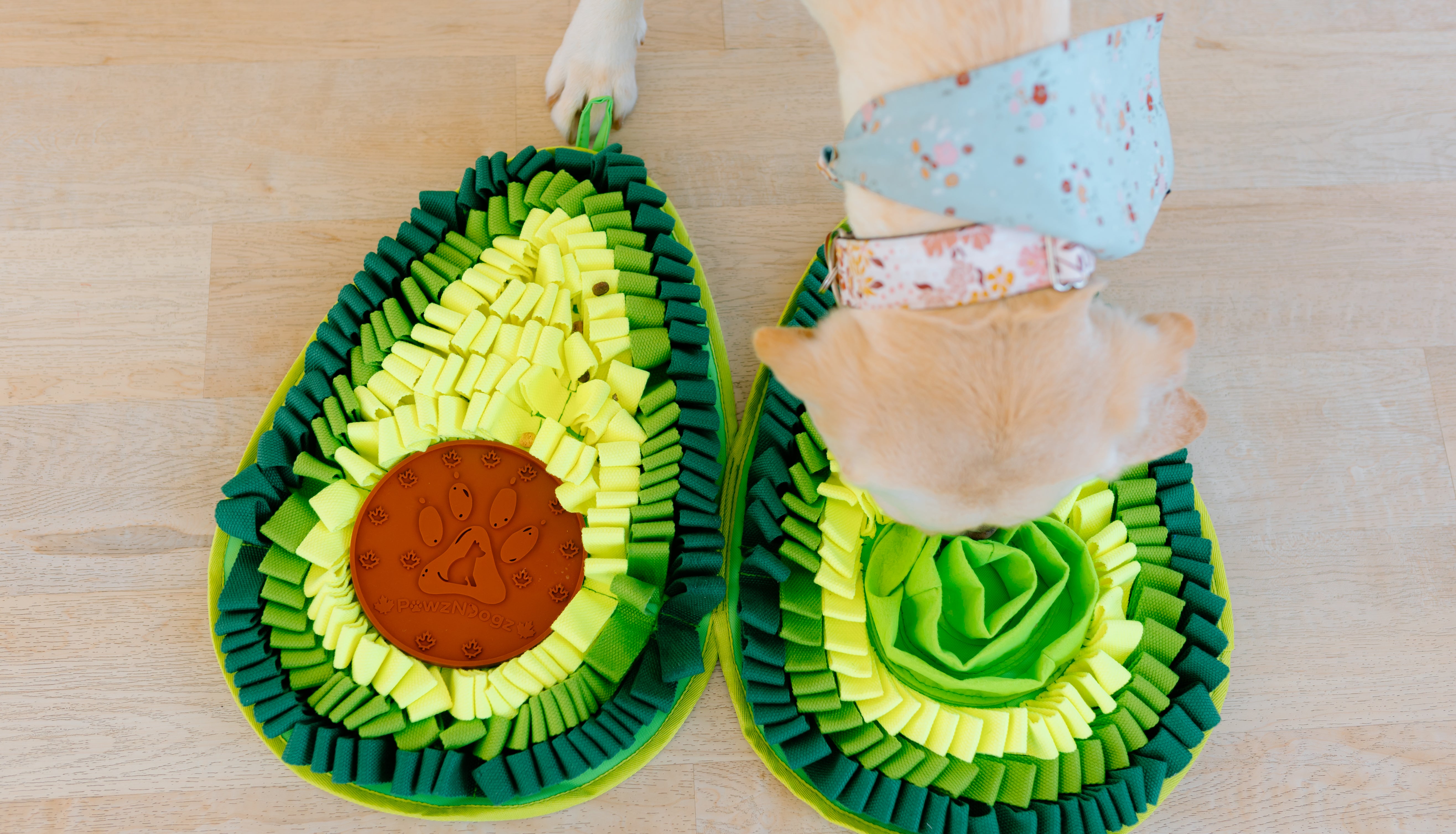 Snuffle Mats for Dogs in Canada | Canine Enrichment for Dogs
– PawzNDogz®