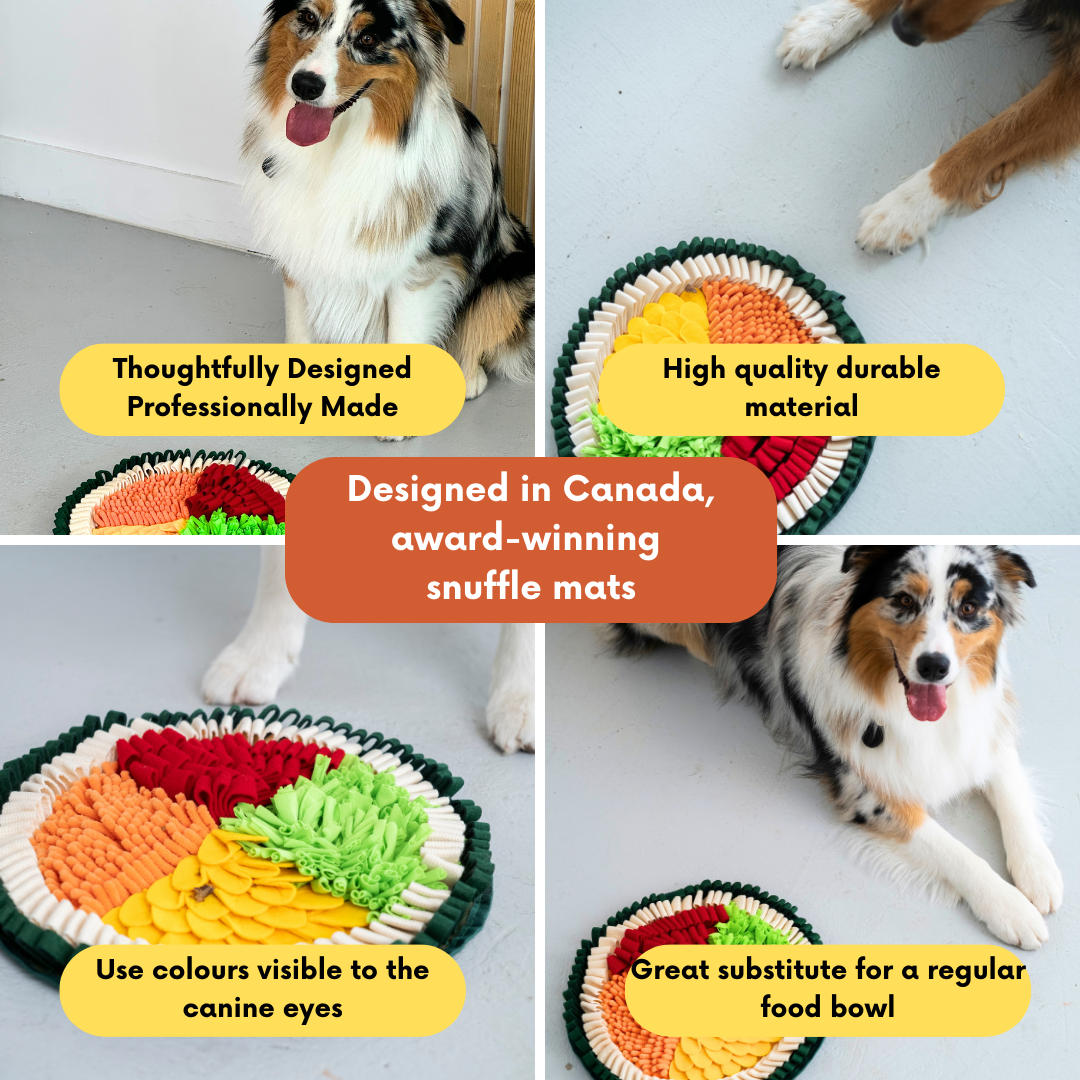 The Exotic Food Bundle by LuvMyFido