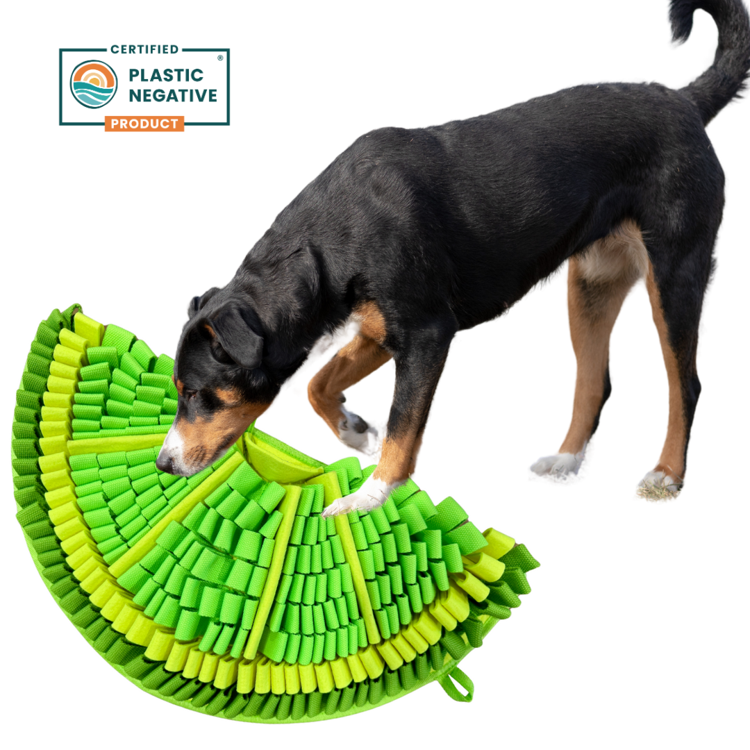 Buy Best Zesty Lime™ Snuffle Mat At Best Price – PawzNDogz®