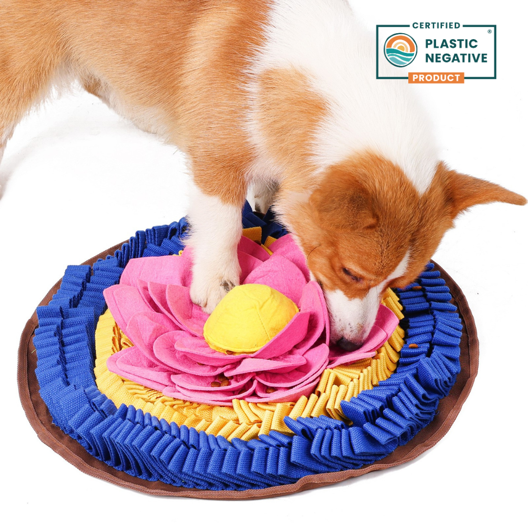 Buy Best Divine Lotus™ AntiBite Snuffle Mat for Dogs – PawzNDogz®