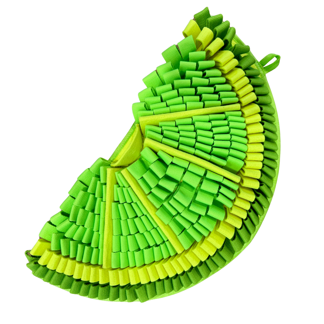 Buy Best Zesty Lime Snuffle Mat At Best Price PawzNDogz