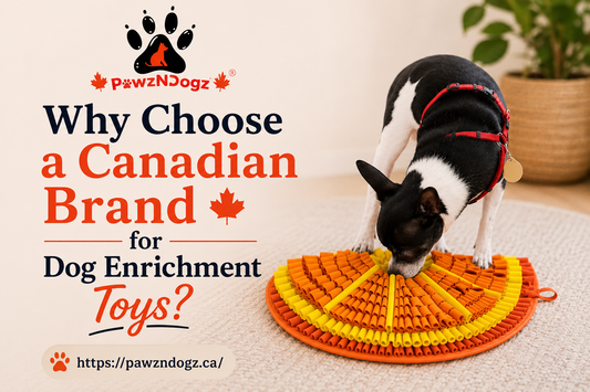 Why Choose a Canadian Brand for Dog Enrichment Toys?