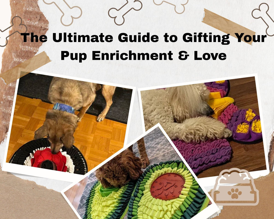 The Ultimate Dog Birthday Guide: Enrichment Gifts They’ll Love!