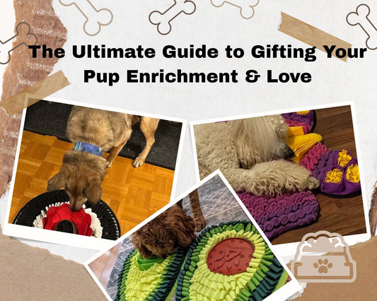 The Ultimate Dog Birthday Guide: Enrichment Gifts They’ll Love!