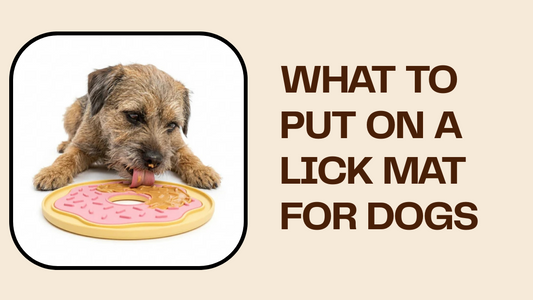 What to Put on a Lick Mat for Dogs: 35 Safe Healthy Ideas
