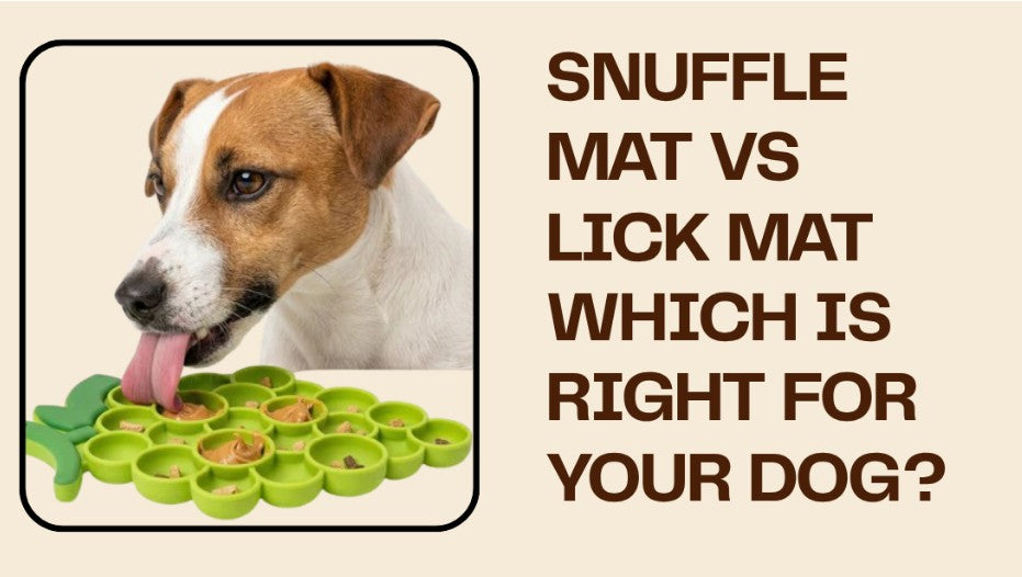 Snuffle Mat vs Lick Mat: Which Is Right for Dogs?