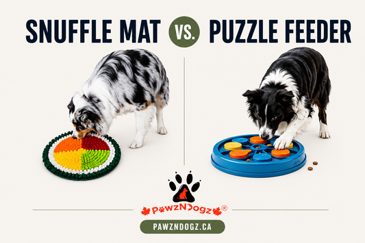 snuffle mat vs puzzle feeder