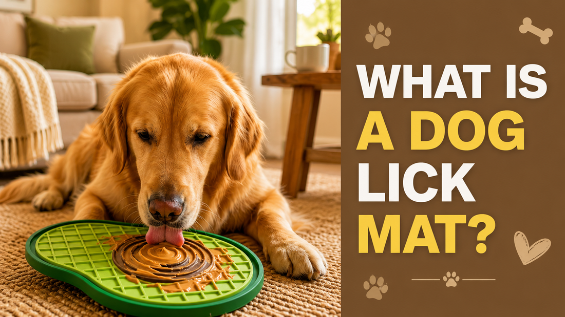 What Is a Dog Lick Mat? Benefits, Uses & What to Put on It