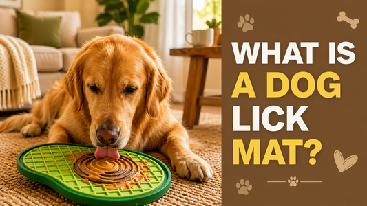 What Is a Dog Lick Mat? Benefits, Uses & What to Put on It