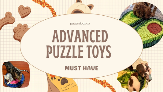 Why Is Black Friday the Best Time to Introduce Advanced Puzzle Toys to Your Pets?