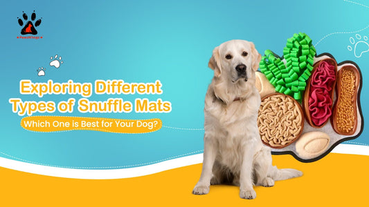 Exploring Different Types of Snuffle Mats: Which One is Best for Your Dog?