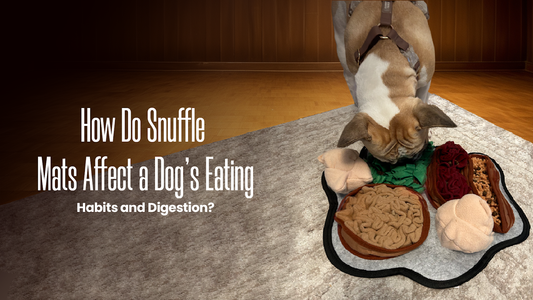 How Do Snuffle Mats Affect a Dog’s Eating Habits and Digestion?