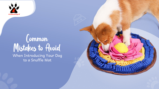 Common Mistakes to Avoid When Introducing Your Dog to a Snuffle Mat