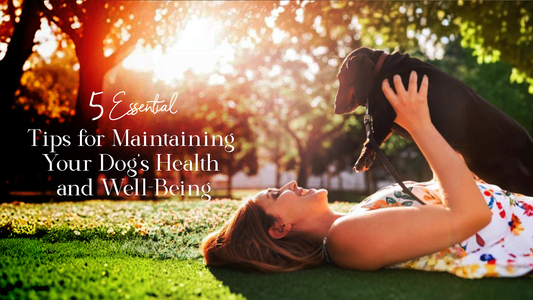 5 Essential Tips for Maintaining Your Dog’s Health and Well-Being