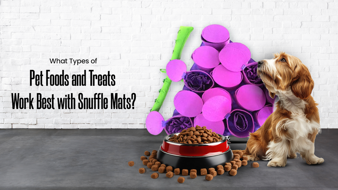 What Types of Pet Foods and Treats Work Best with Snuffle Mats?