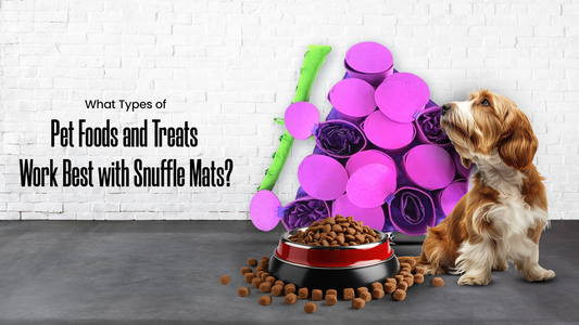 What Types of Pet Foods and Treats Work Best with Snuffle Mats?