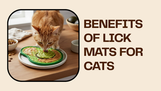 Benefits of Lick Mats for Cats: Why Cats Love Them