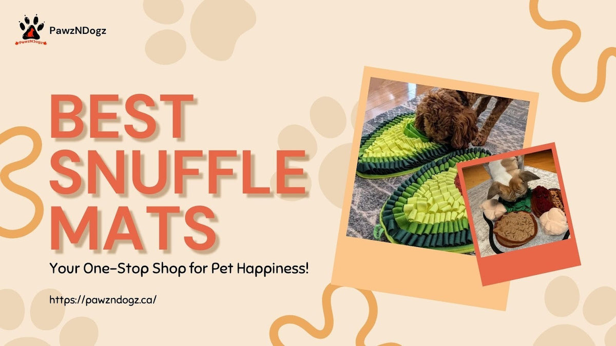 Choose the Best Snuffle Mats by Pet Type – PawzNDogz®