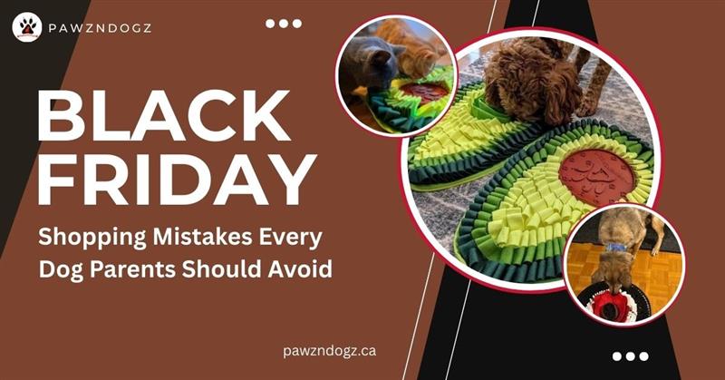 Black Friday Shopping Mistakes Dog Parents Should Avoid