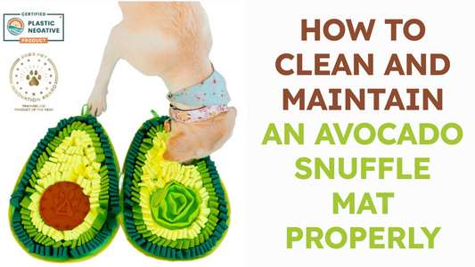 How to Clean and Maintain an Avocado Snuffle Mat Properly