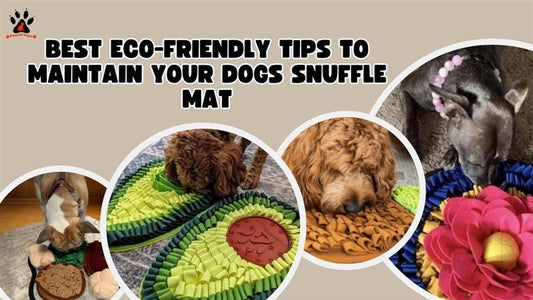 Sustainable Enrichment: What Are the Best Eco-Conscious Ways to Maintain a Snuffle Mat?