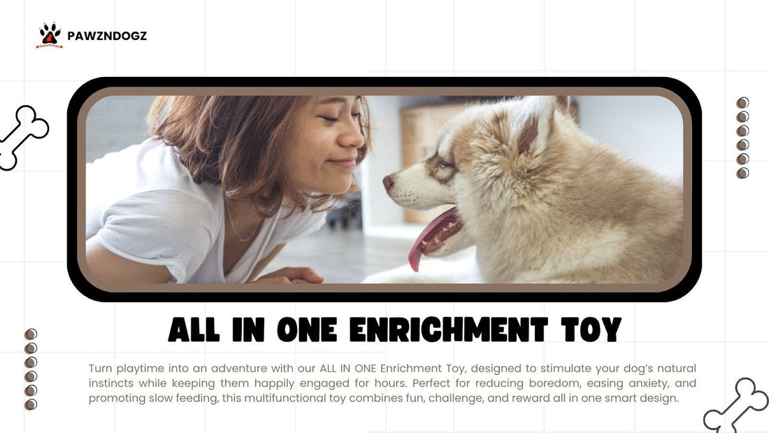 Can One Enrichment Toy Work for Dogs, Cats, and Small Pets?