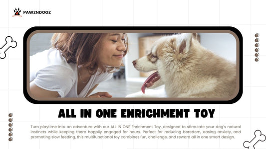 Can One Enrichment Toy Work for Dogs, Cats, and Small Pets?