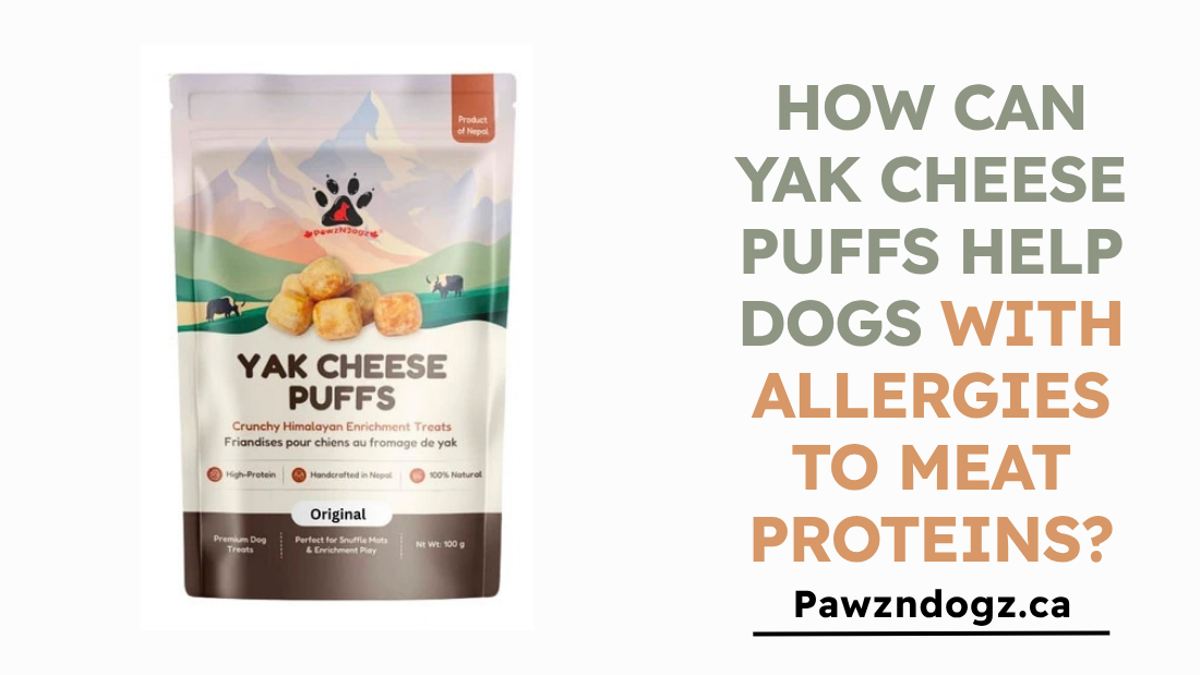How Can Yak Cheese Puffs Help Dogs With Meat Protein Allergies?