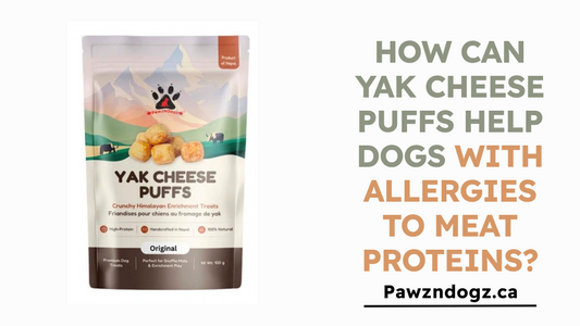 How Can Yak Cheese Puffs Help Dogs With Meat Protein Allergies?
