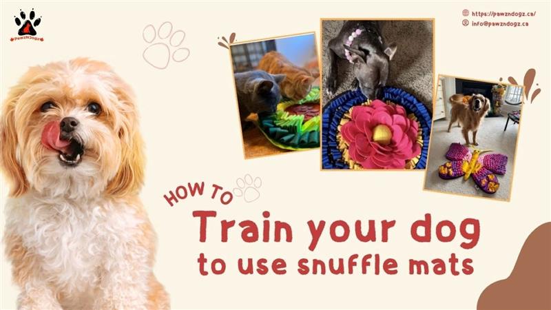 How to Train Your Dog to Use a Snuffle Mat Effectively
