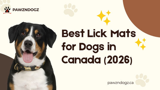 Best Lick Mats for Dogs in Canada (2026)