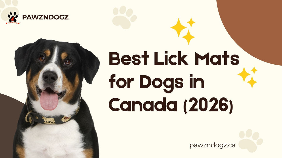 Best Lick Mats for Dogs in Canada (2026)