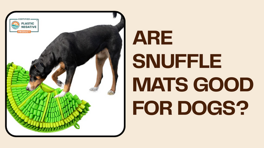 Are Snuffle Mats Good for Dogs? What Canadian Pet Parents Should Know