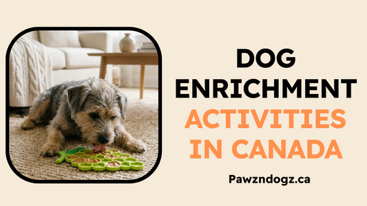 Dog Enrichment Activities in Canada: A Complete Guide to Mental Stimulation, Snuffle Mats & Lick Mats