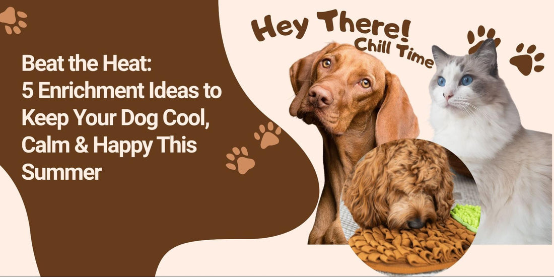 Beat the Heat: 5 Summer Enrichment Ideas to Keep Your Pup Cool & Calm