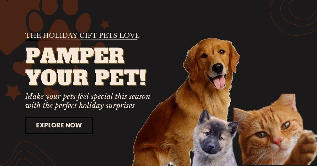 Why are Snuffle Mats the Perfect Holiday Gift for Pet Owners?