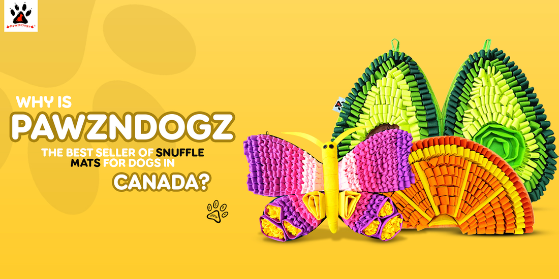 Why is PawzNDogz the Best Seller of Snuffle Mats for Dogs in Canada?