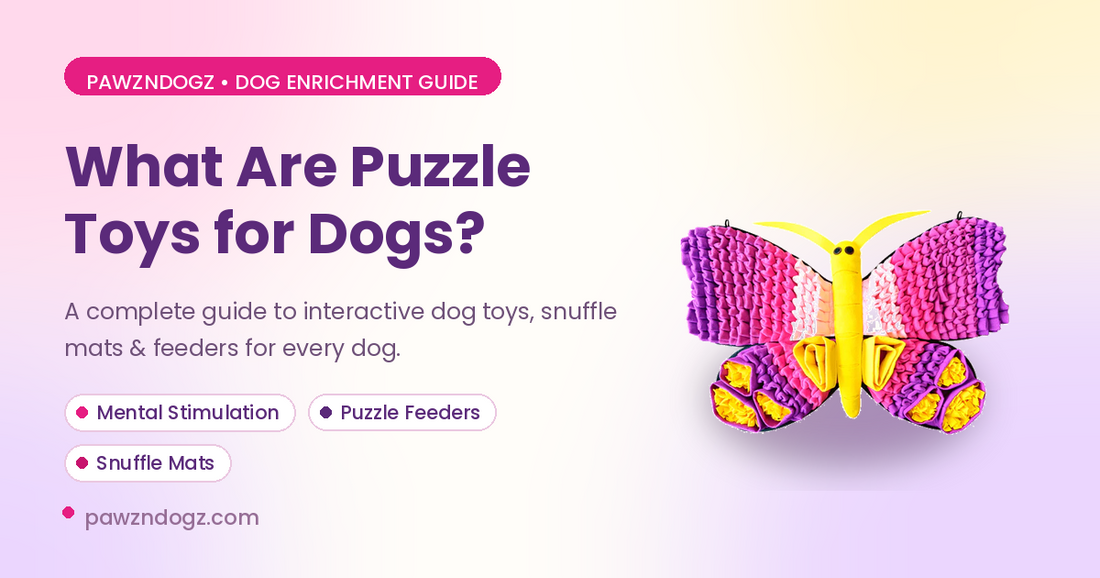 Puzzle Toys for Dogs