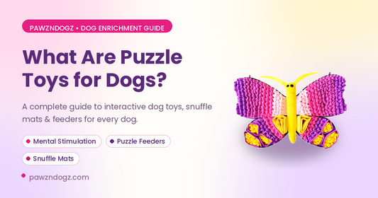 Puzzle Toys for Dogs