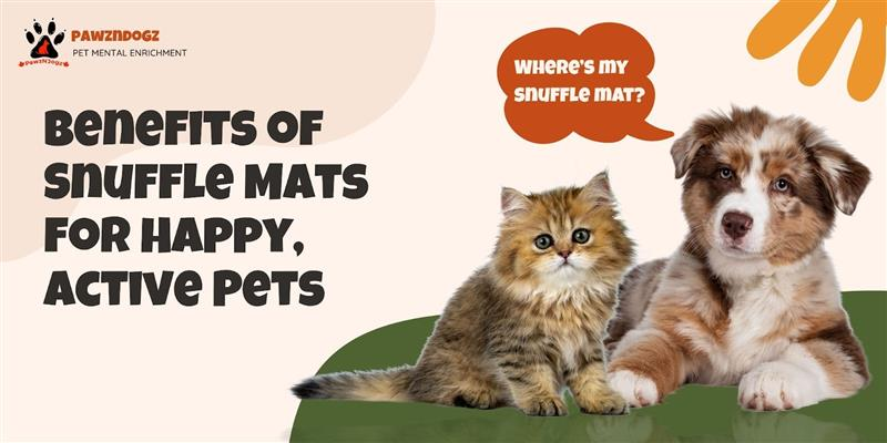 How Do Snuffle Mats Benefit Dogs and Cats? 10 Proven Advantages