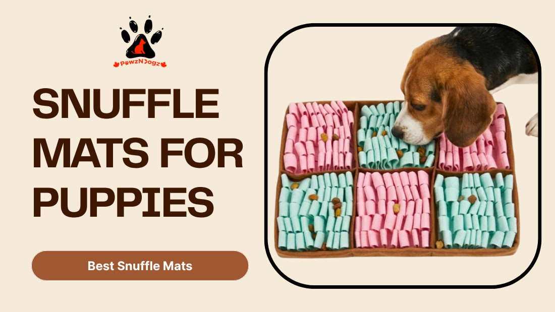 Snuffle Mats for Puppies: When to Start, What Level to Use & Safety Tips