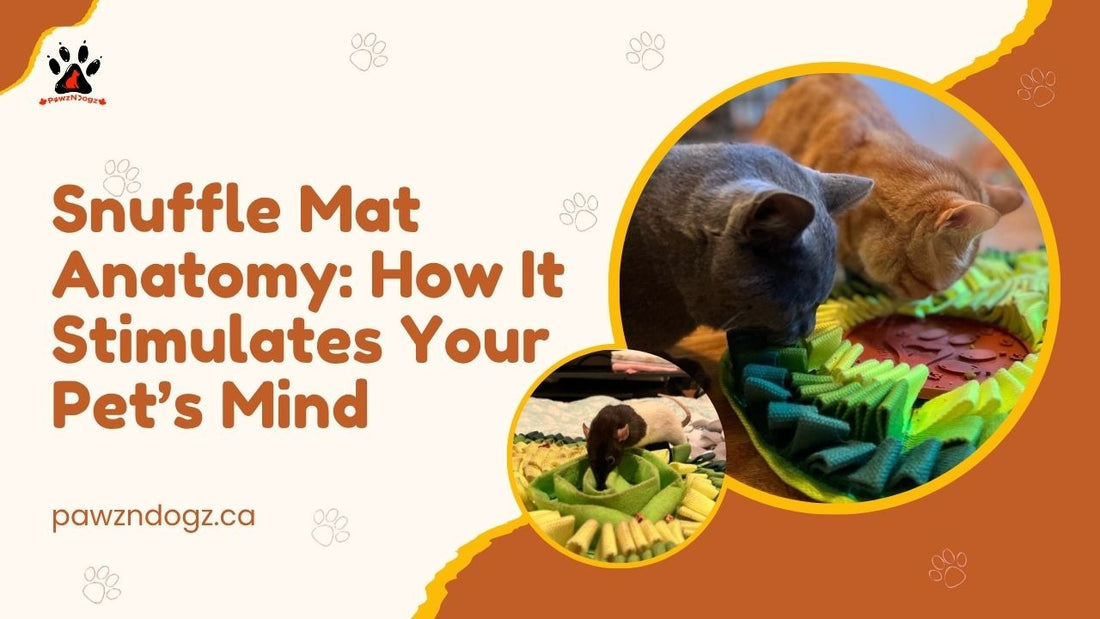 What is a Snuffle Mat? Benefits and Complete Guide for Dogs, Cats & Sm ...