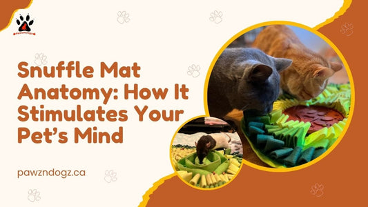 What is a Snuffle Mat? Benefits and Complete Guide for Dogs, Cats & Small Pets