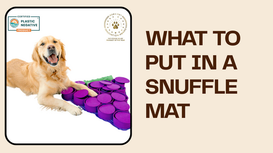What to Put in a Snuffle Mat: 15 Treats Your Dog Will Love