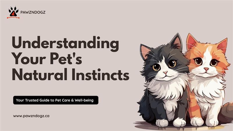 Understanding Your Pet's Natural Instincts: A Guide to Mental Stimulation for Dogs, Cats & Small Pets