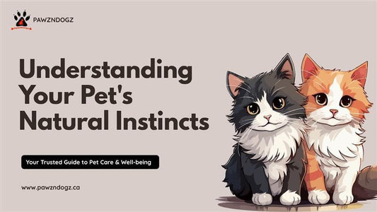 Understanding Your Pet's Natural Instincts: A Guide to Mental Stimulation for Dogs, Cats & Small Pets