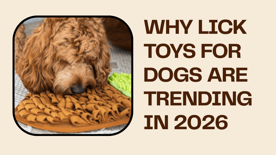 Why Lick Toys for Dogs Are Trending in 2026