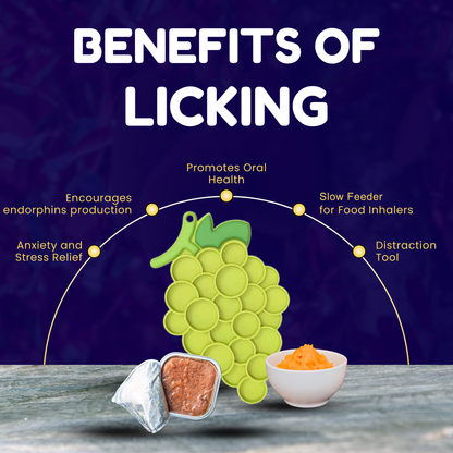 The Healthy Fruit Lick Mat Bundle